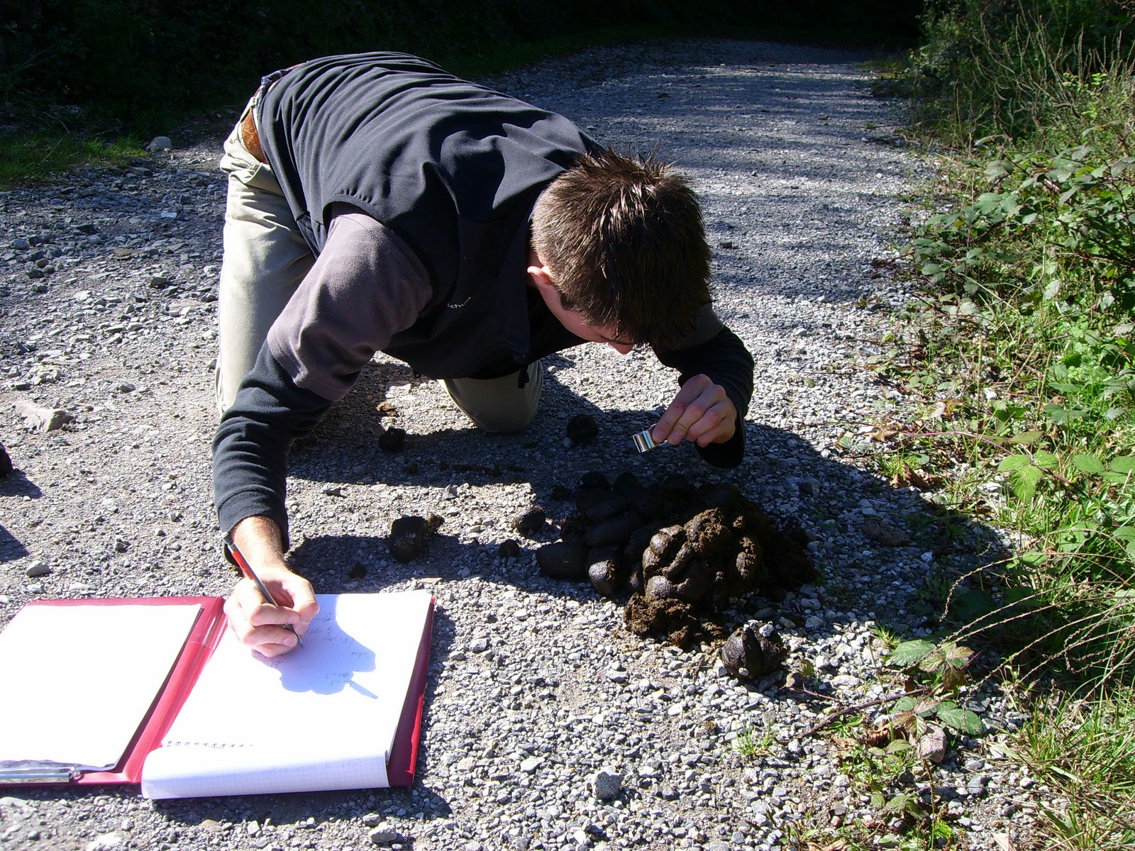 Master in Earth, and Environmental Sciences UFR Sciences