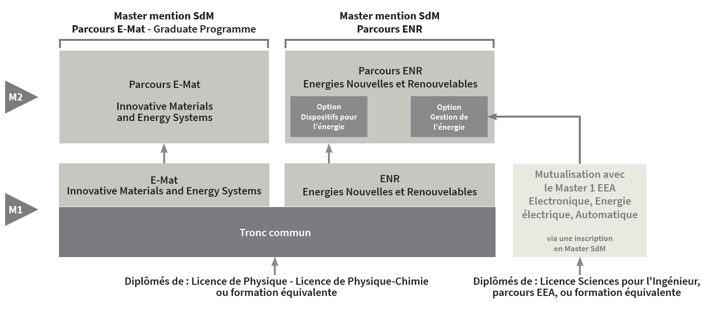 organigramme Master mention Sciences de la Matière