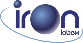 Labex IRON