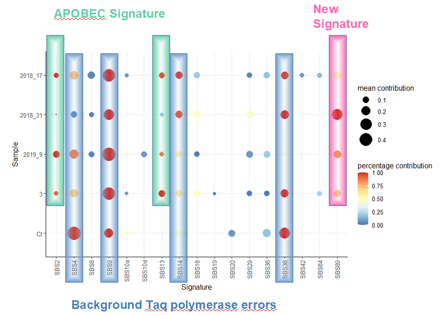 MutPatterns Analysis