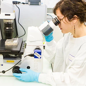 Recherche : ces avancées scientifiques qui ont fait Nantes Université en 2025