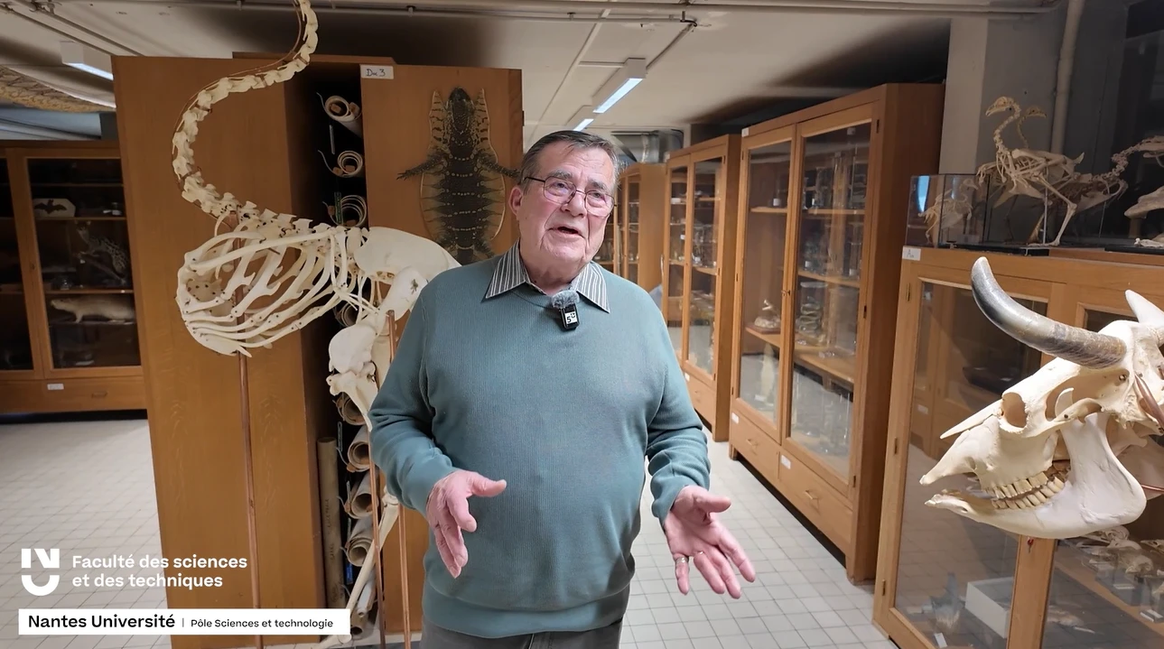  À la rencontre d’André Lequet, mémoire vivante de la collection pédagogique de zoologie